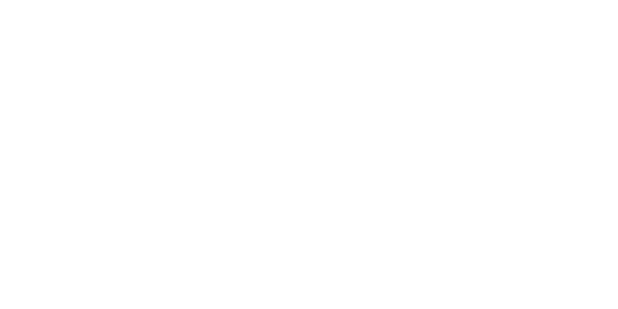 nfriedSites Logo